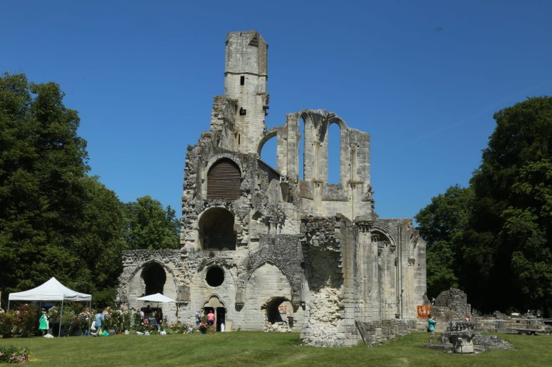 Chaalis - Ruines de l'Eglise Abbatiale