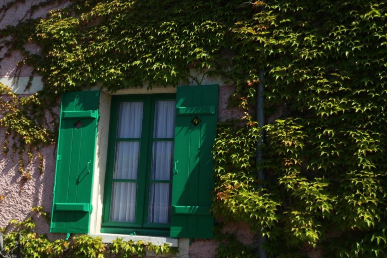 Giverny- Fenêtre aux volets verts