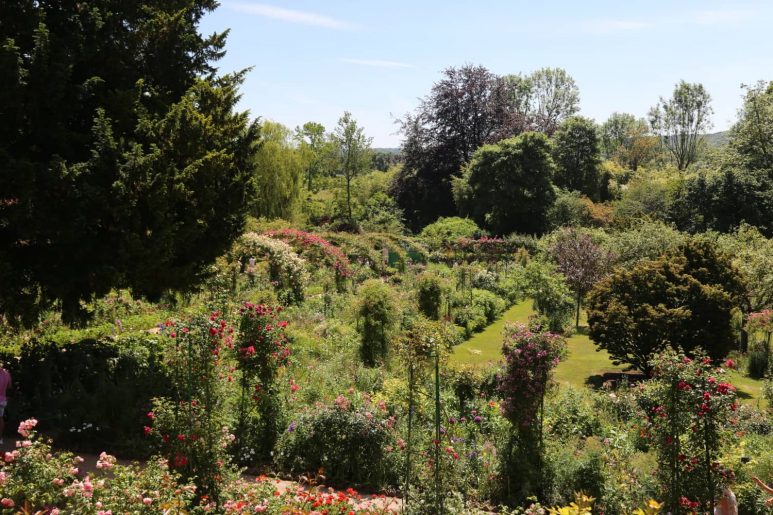 Giverny- Jardin aux milles couleurs
