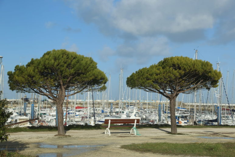 St Denis D'Oléron - Le Port