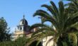 Cannes et ses Palmiers